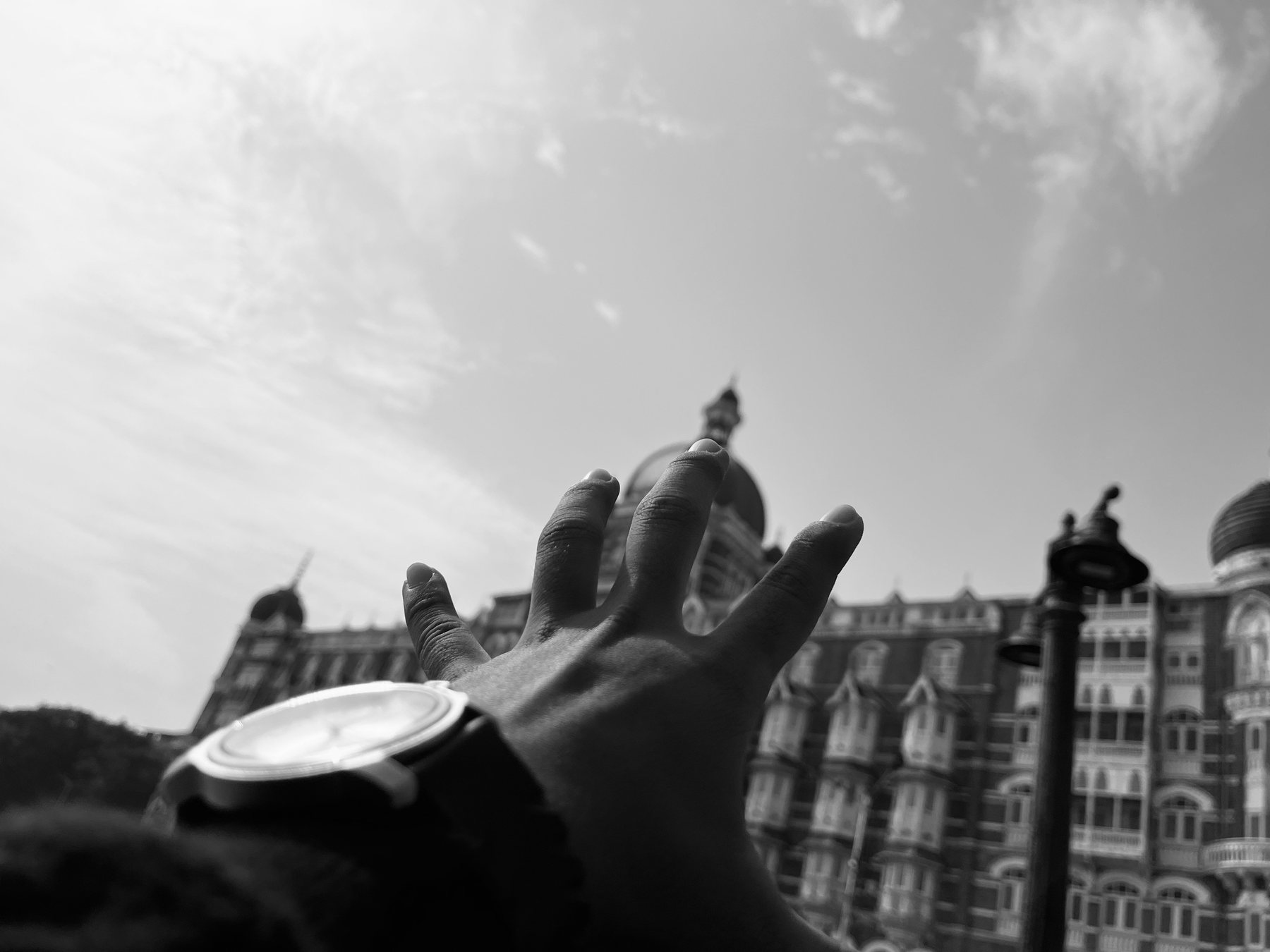 A hand reaching toward a bird above the city